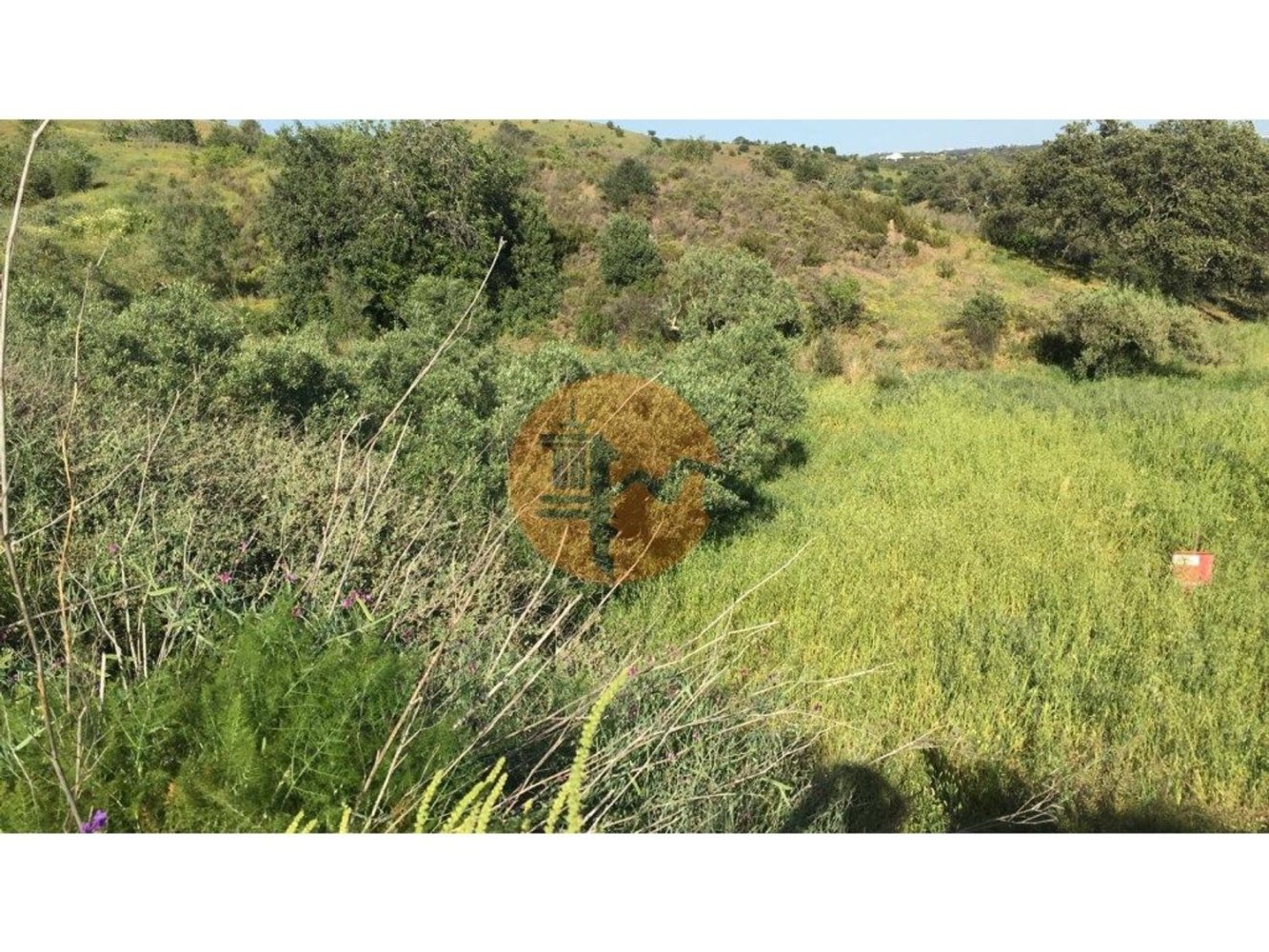 Terreno em Azinhal, Portugal 3676 m² N.º 65758