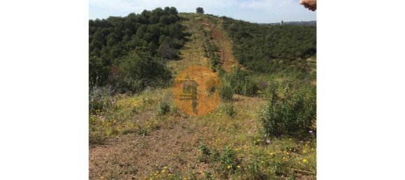 Terreno em Azinhal, Portugal 3676 m² N.º 65758 4