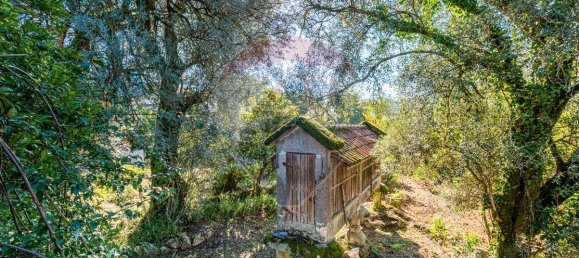 Casa T9 em Amares, Portugal N.º 36836 25