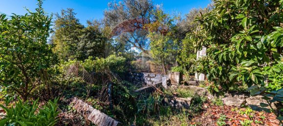 Casa T9 em Amares, Portugal N.º 36836 34