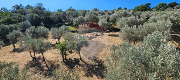 1 bedroom House in Alcara Li Fusi, Italy No. 260393 2