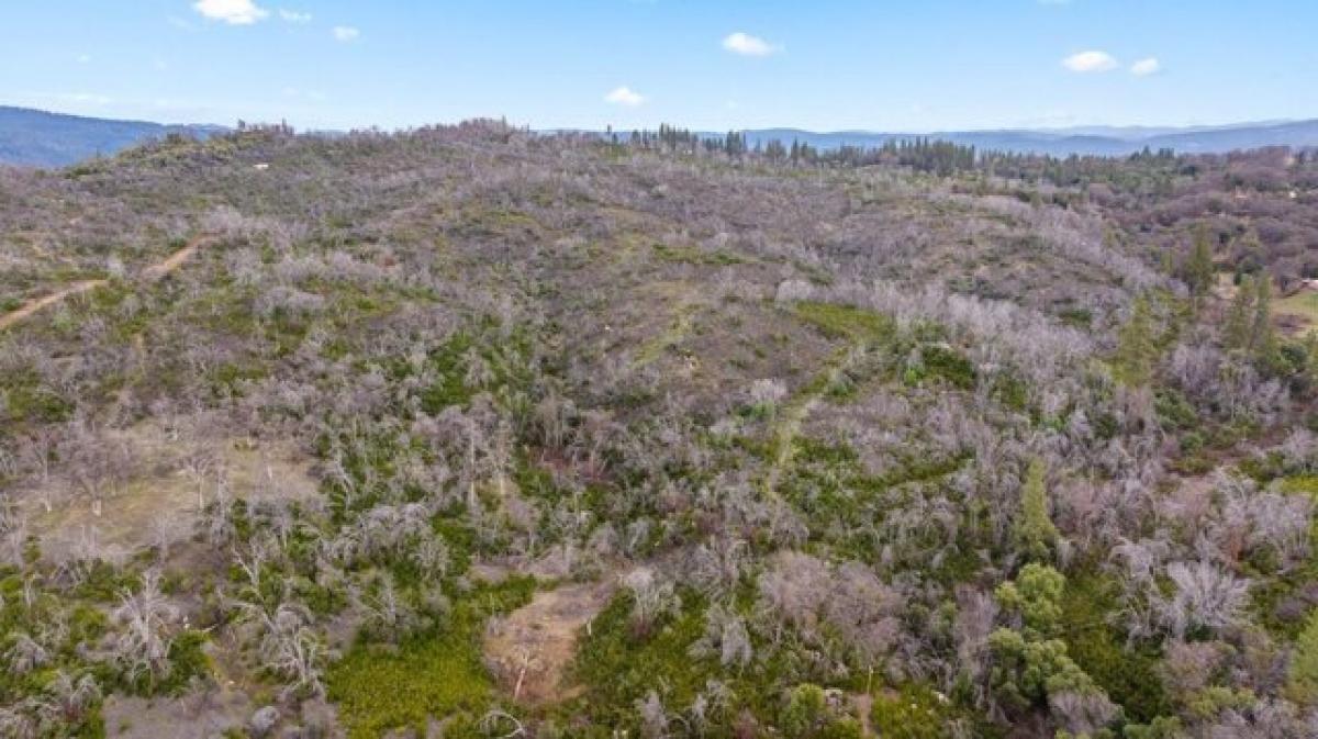  Land in Nevada City, USA No. 477520