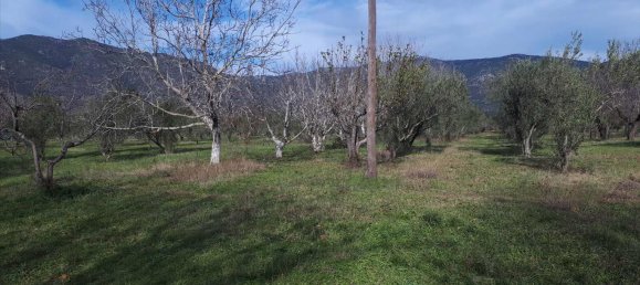 Hotel in Polygyros, Greece 18250m², Nr. 4409 3