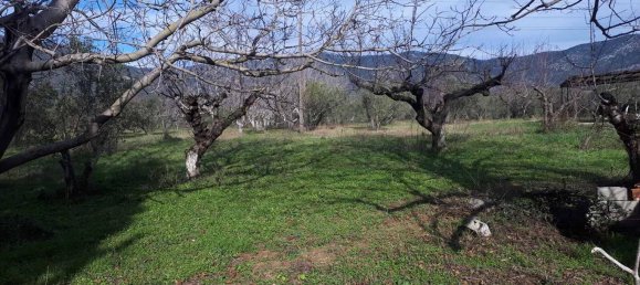 Hotel em Polygyros, Greece 18250 m² N.º 4409 9