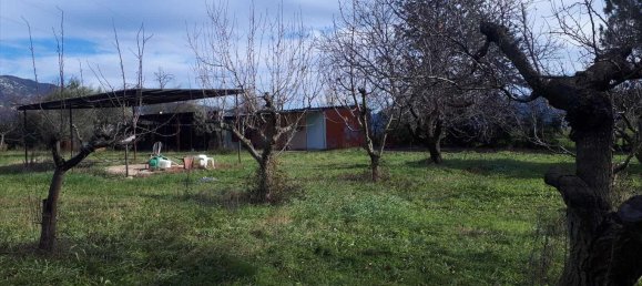 Hotel em Polygyros, Greece 18250 m² N.º 4409 8