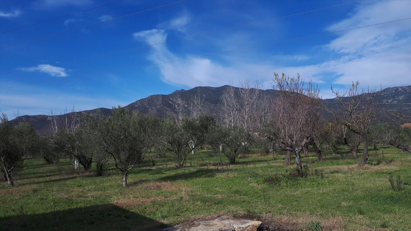 Hotel em Polygyros, Greece 18250 m² N.º 4409