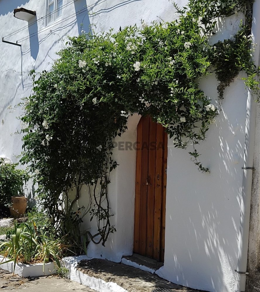 2 bedrooms House in Castelo de Vide, Portugal No. 248636