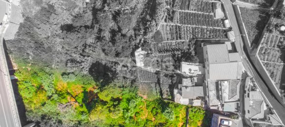 Grundstück in Funchal, Portugal, Nr. 89979 5