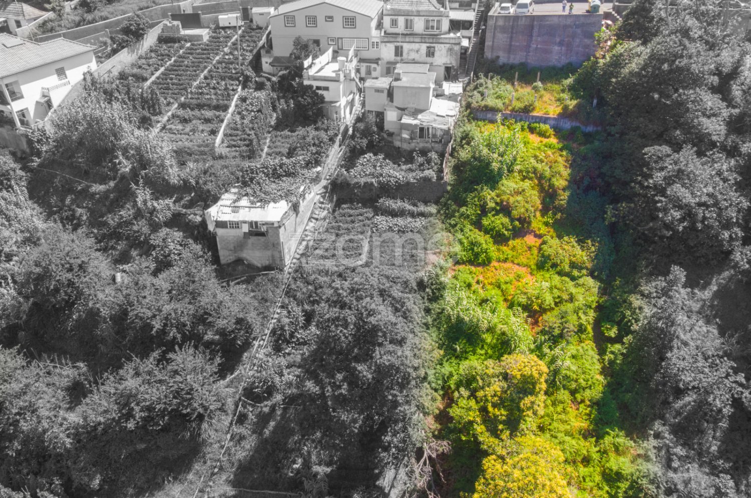 Grundstück in Funchal, Portugal, Nr. 89979