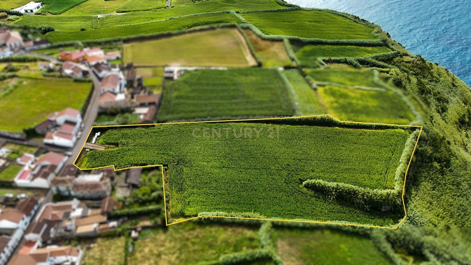 Земельный участок в Нордешти, Португалия № 228714