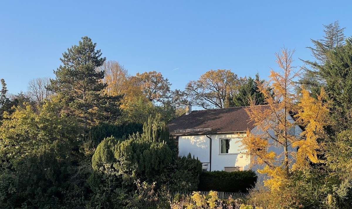 7-Zimmer Villa in Rhein-Neckar-Kreis, Germany, Nr. 46843