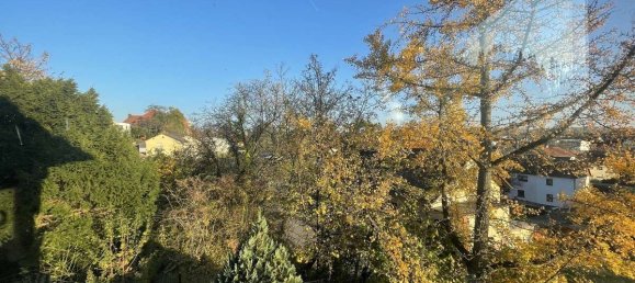 7-Zimmer Villa in Rhein-Neckar-Kreis, Germany, Nr. 46843 7