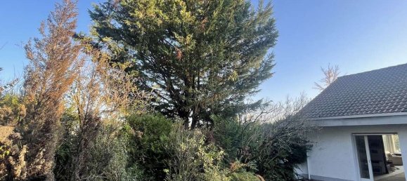 7-Zimmer Villa in Rhein-Neckar-Kreis, Germany, Nr. 46843 8