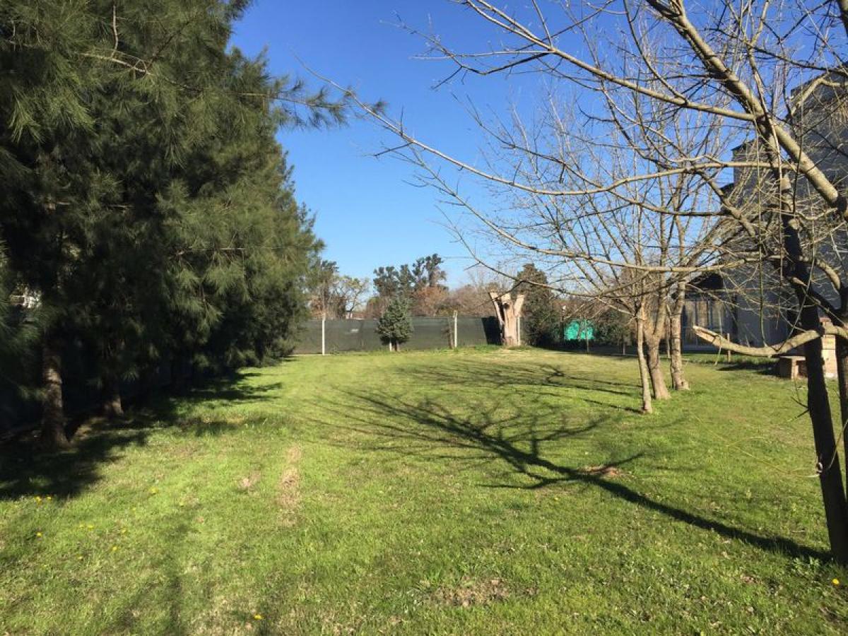  Land in Ituzaingo, Argentina No. 46483