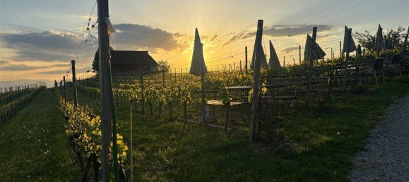 3-Zimmer Haus in Gralla, Austria, Nr. 159417 16