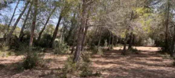  قطعة أرض في Tarragona, Spain 7324متر مربع رقم 144761 8