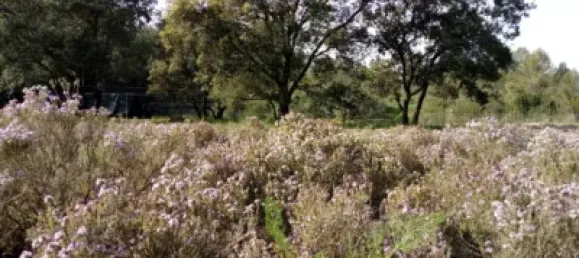  قطعة أرض في Tarragona, Spain 7324متر مربع رقم 144761 9