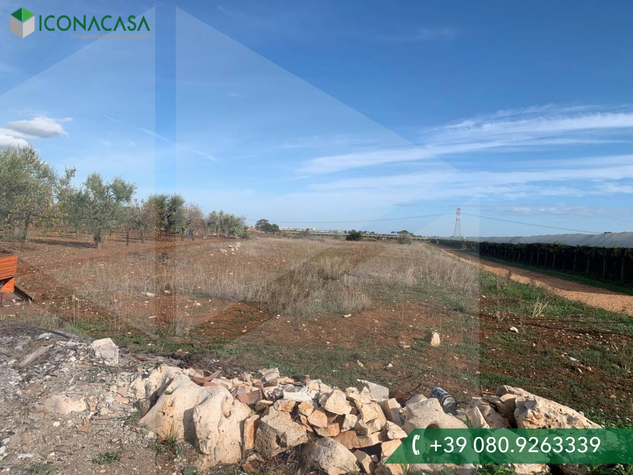 1-Zimmer Grundstück in Casamassima, Italy, Nr. 29424