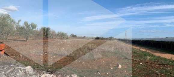 1-Zimmer Grundstück in Casamassima, Italy, Nr. 29424 2