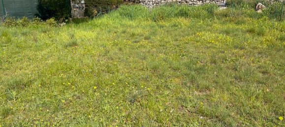 Terreno en Flayosc, France No. 96825 4