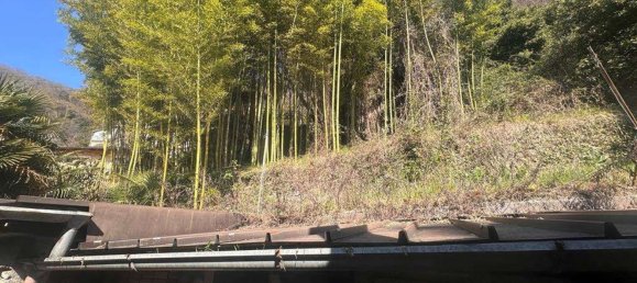 Дом с 6 комнатами в Менаджо, Италия № 141066 16