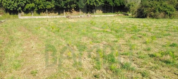 2600m² Land in Vila Nova de Cerveira, Portugal No. 51980 3