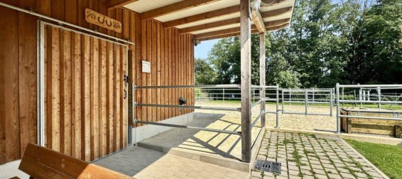 7غرفة قلاع في Andorf, Austria رقم 222989 43