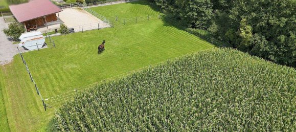 7غرفة قلاع في Andorf, Austria رقم 222989 3