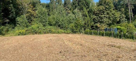 Grundstück in Wettmannstätten, Austria, Nr. 227788 6