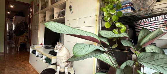 3 غرف نوم بانتهاوس في Oviedo, Spain رقم 168984 40