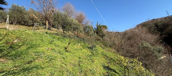 5-salle Maison à Massa, Italy No. 169007 23