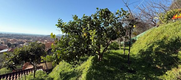 5-salle Maison à Massa, Italy No. 169007 24