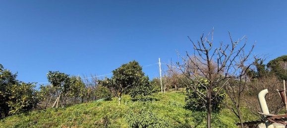 5-salle Maison à Massa, Italy No. 169007 20