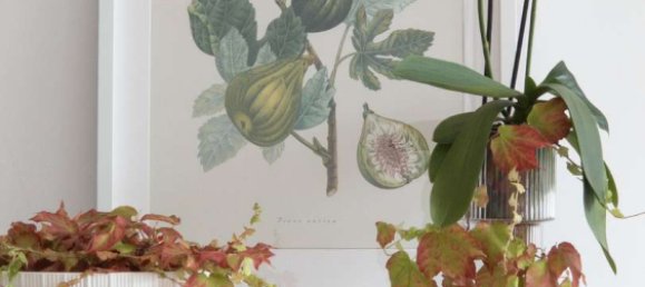 Apartamento de 2 dormitorios en Moabit, Germany No. 293501 5