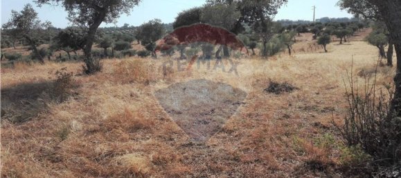 Terrain à Proenca a Nova, Portugal 1983m² No. 66792 5