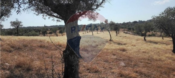 Terrain à Proenca a Nova, Portugal 1983m² No. 66792 3