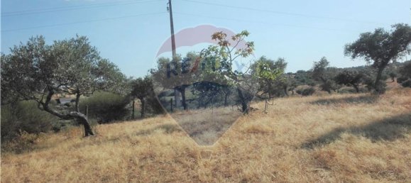 Terrain à Proenca a Nova, Portugal 1983m² No. 66792 7