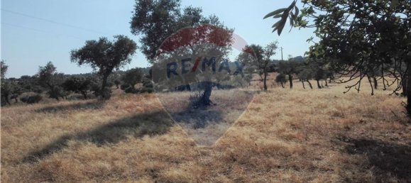 Terrain à Proenca a Nova, Portugal 1983m² No. 66792 8