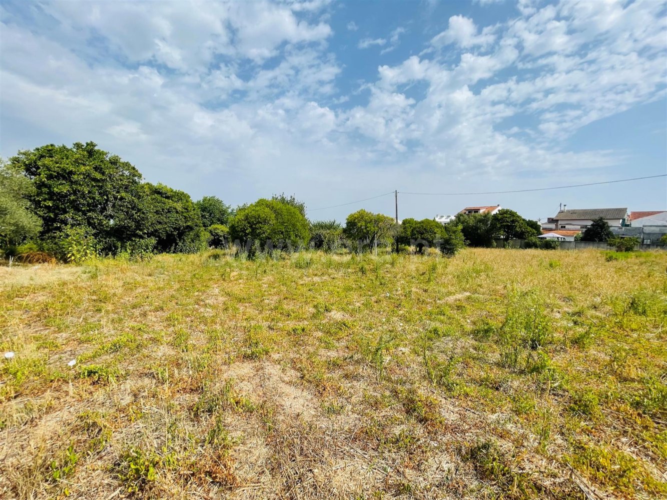 Земельный участок в Коимбра, Португалия № 272110