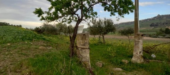 قطعة أرض في Naro, Italy 23000متر مربع رقم 115558 2