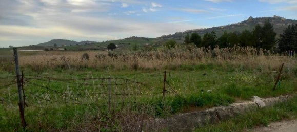 قطعة أرض في Naro, Italy 23000متر مربع رقم 115558 5