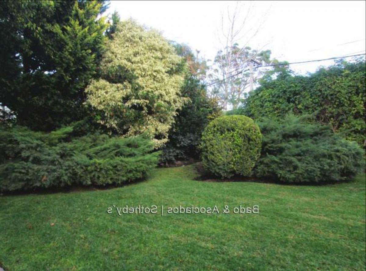 Дом с 4 спальнями в Монтевидео, Уругвай № 10006