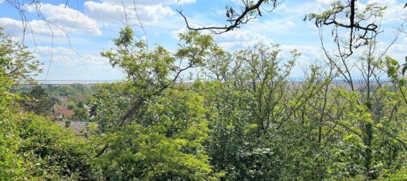 6 rooms House in Neusiedl am See, Austria No. 125524 9