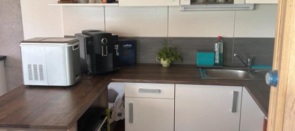 Terrain à Zwickau, Germany No. 229427 7