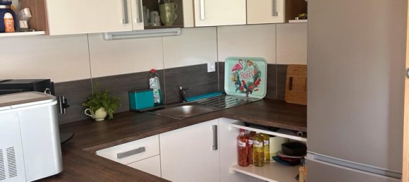 Terrain à Zwickau, Germany No. 229427 6