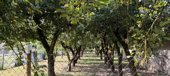 Дом с 6 комнатами в Уккермарк, Германия № 332628 3