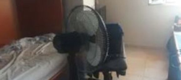 4-Zimmer Wohnung in Anzio, Italy, Nr. 191231 44