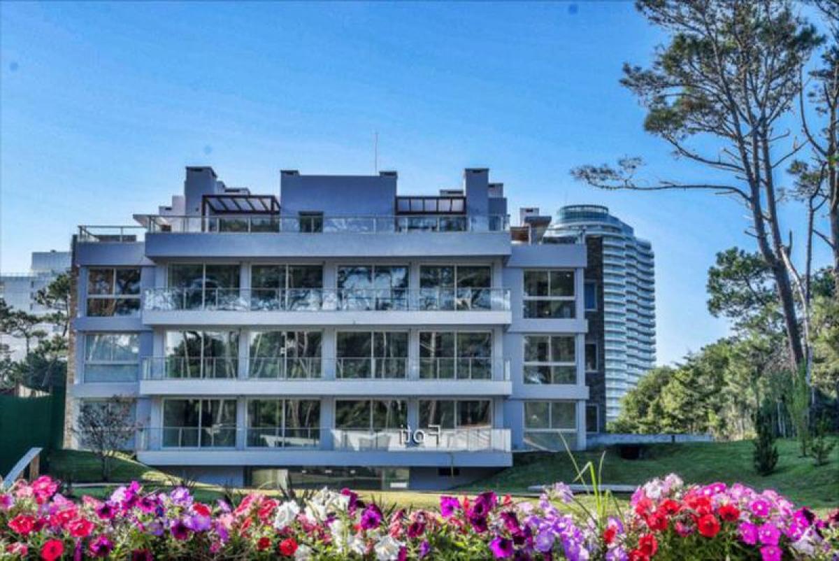 Studio in Punta del Este, Uruguay No. 1966