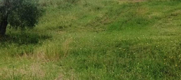 Terreno en Magliano in Toscana, Italy 110000 m² No. 112319 17