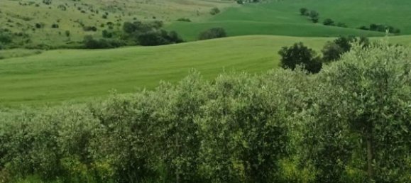 Terreno en Magliano in Toscana, Italy 110000 m² No. 112319 12